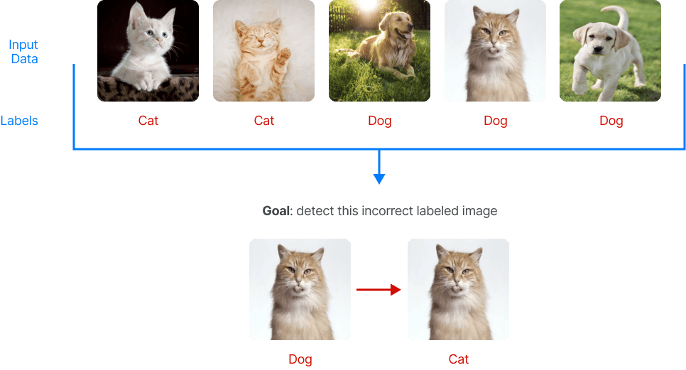 Mislabeled input data